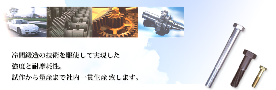 冷間鍛造の技術を駆使して実現した強度と耐摩耗性。試作から量産まで社内一貫生産致します。